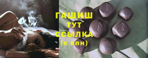 гидра Корсаков