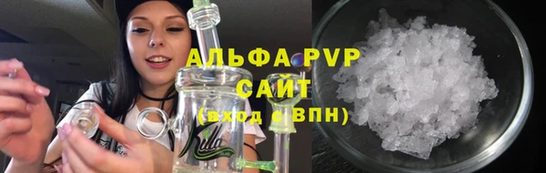 сатива Кодинск