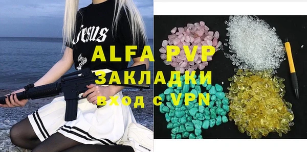 гидра Корсаков
