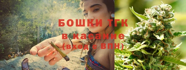 сатива Кодинск