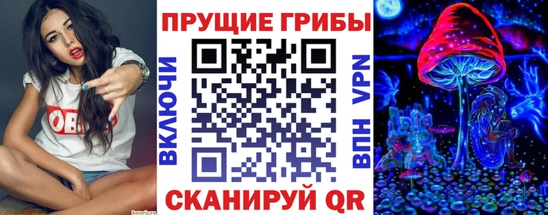 где можно купить   Катав-Ивановск  Псилоцибиновые грибы GOLDEN TEACHER 