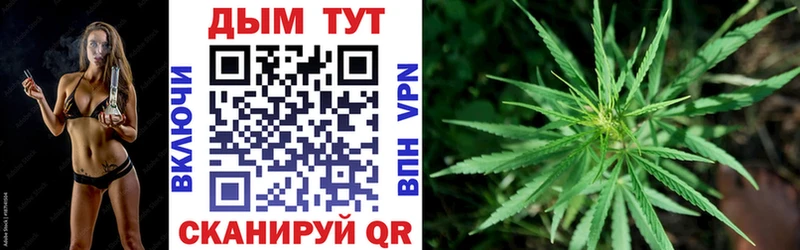 Марихуана THC 21%  купить наркоту  Катав-Ивановск 